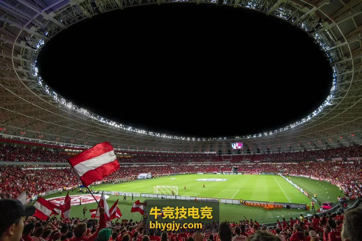 牛竞技电竞 高校联赛