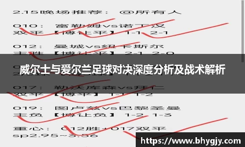 威尔士与爱尔兰足球对决深度分析及战术解析