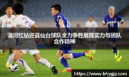 蒲河红钻迎战仙台球队全力争胜展现实力与团队合作精神